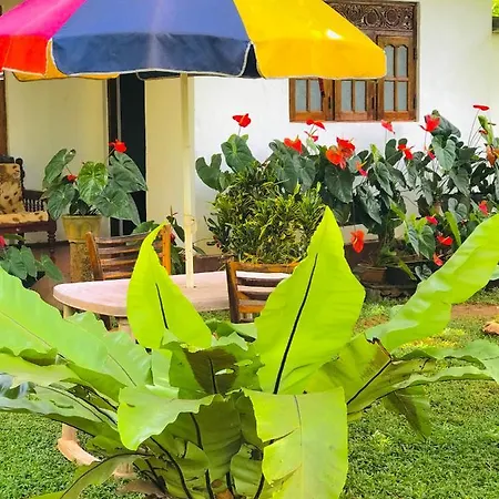 Sigiri Lakshan Home Stay Сигирия Экстерьер фото