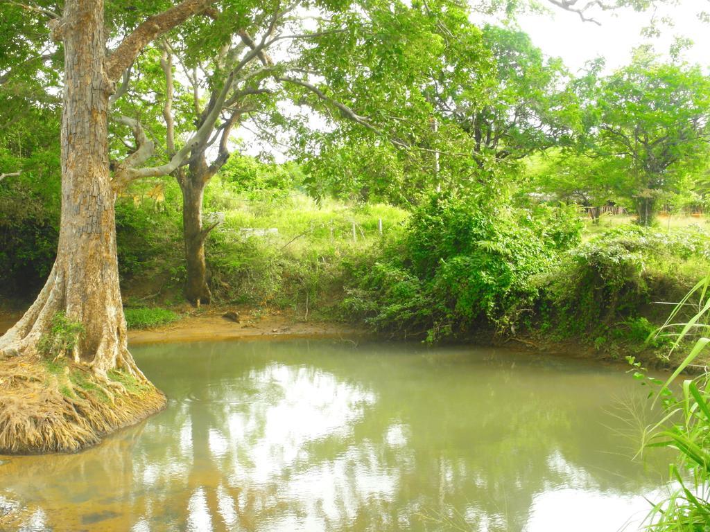 Sigiri Lakshan